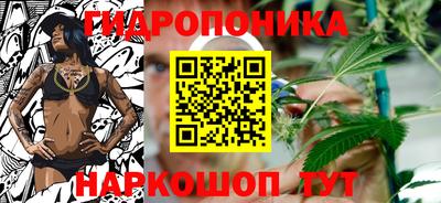 прущие грибы Будённовск