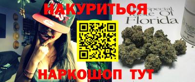 прущие грибы Будённовск